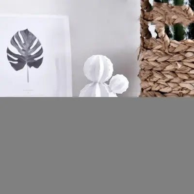 Cactus Home Decor Figurine and Accent Piece